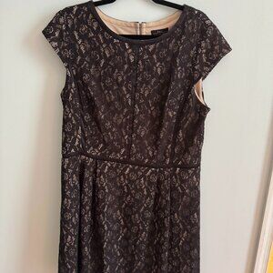 Women's Black Lace Cocktail Dress